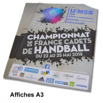 Affiche A3