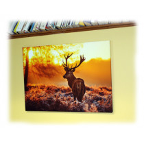 Photo sur toile 30x84